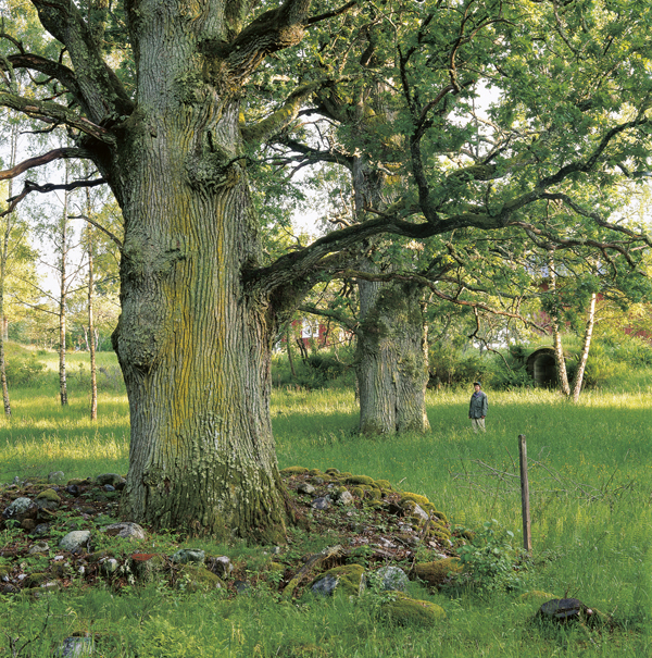 För trettio år sedan